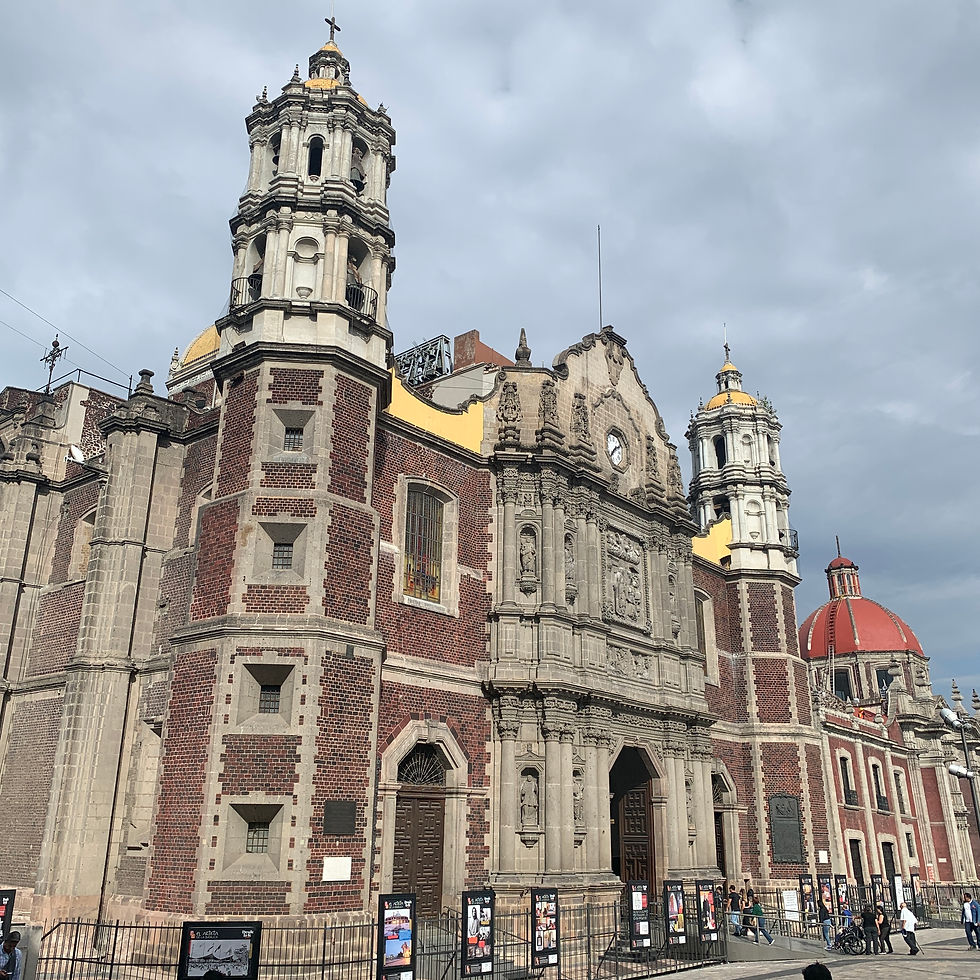 view of the Basilica of Our Lady of Guadalupe