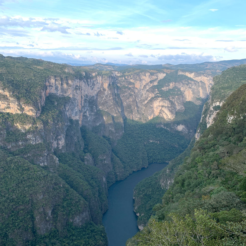 29099573-AEEA-4D8D-B657-914C8A11522D_1_201_a