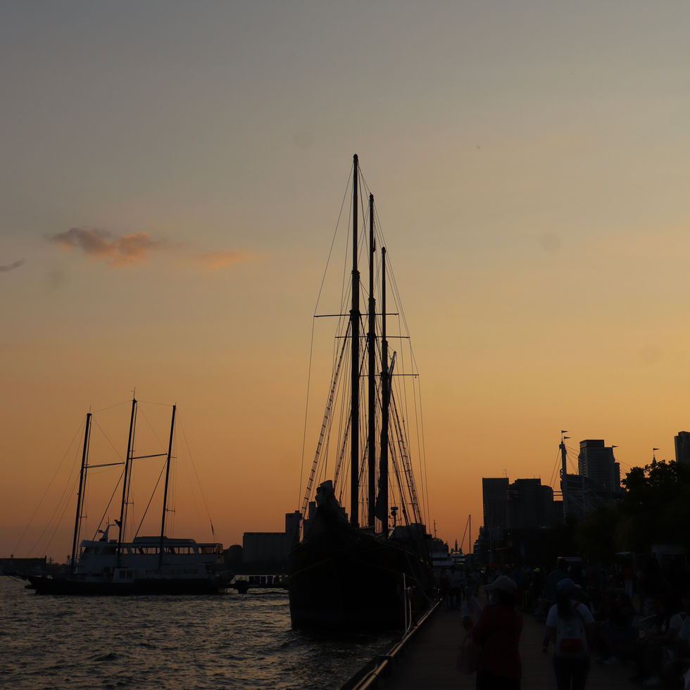 718808DB-25AD-4756-84DB-DD85524A5270_1_201_a