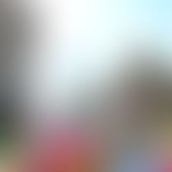 Mexico City's Top Sights and Neighbourhood Insights!