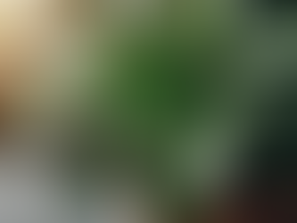 10 Tips for Eco-Friendly Living at Home