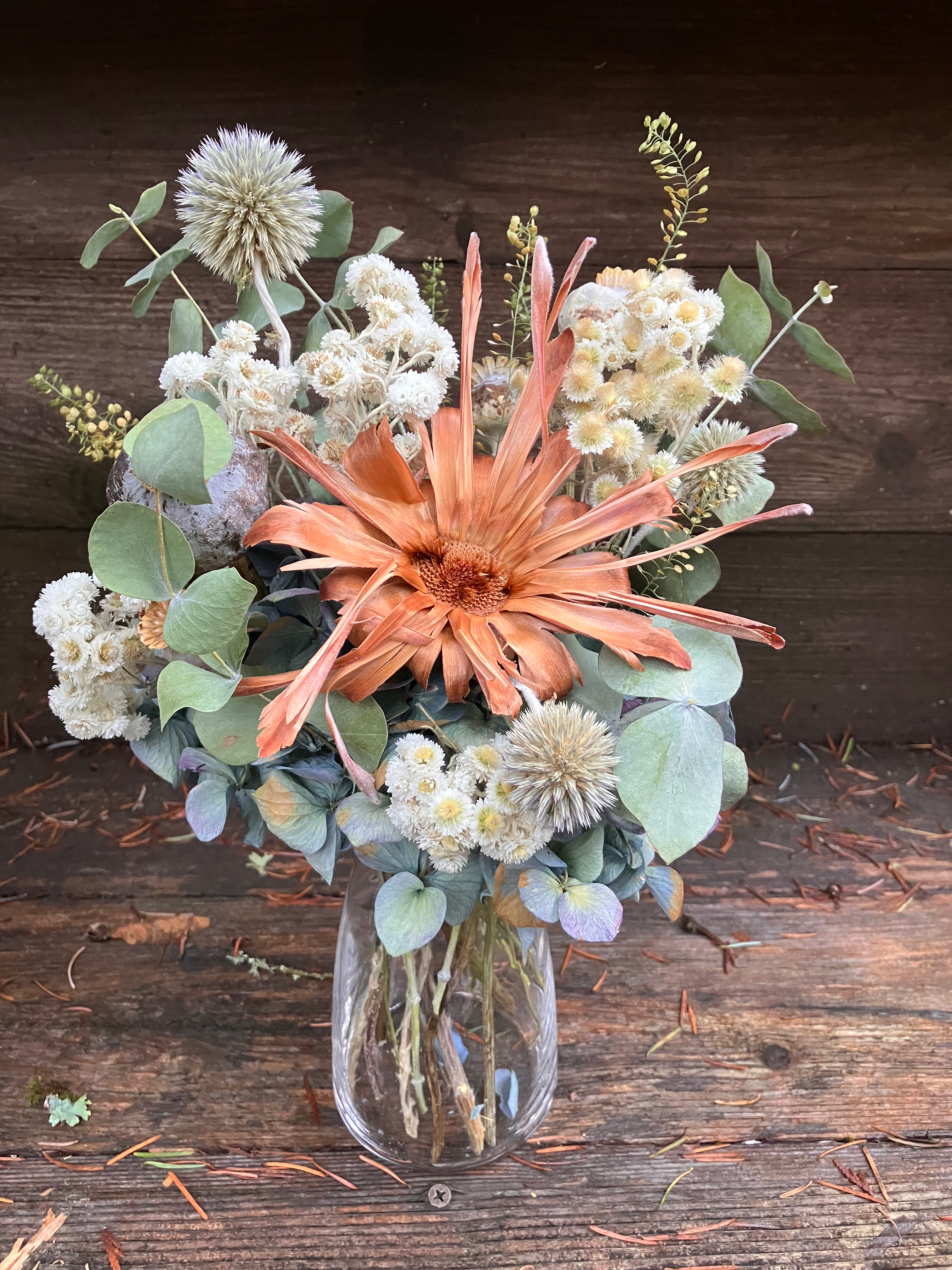 Dried and Graceful - Petite