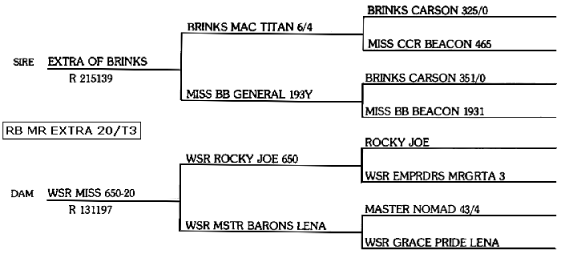 Mr Extra 20T3 Pedigree.gif