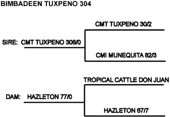Tuxpeno GIF.gif