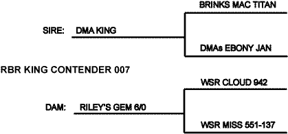 King Contender GIF.gif