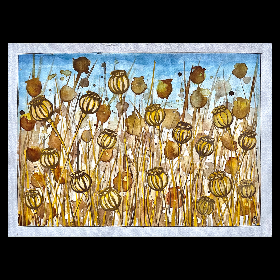 „Mohnfeld in der Sommerruhe“