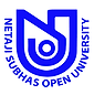 nsou logo.png