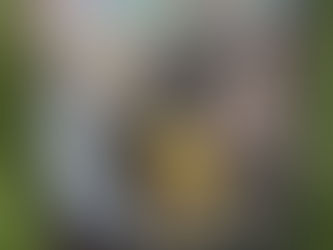 The one winged fairy!