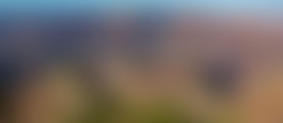什麼是國家森林保留區National Forest?