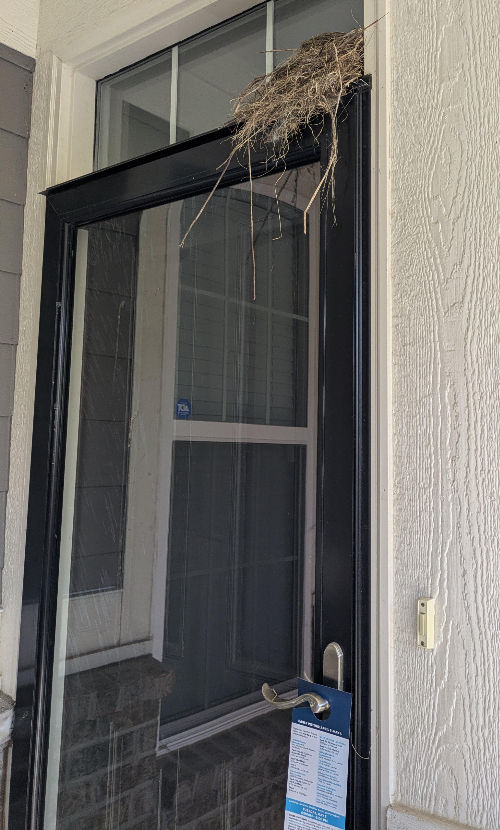 Nothing better than the circle of life and GOTV lit!