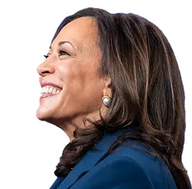 hamCo Dems-large gradient.png