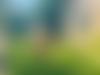 Everything You Need to Know About Yard Signs