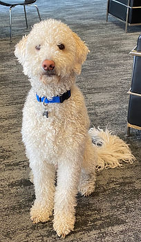 Luther is DAMA's greeter