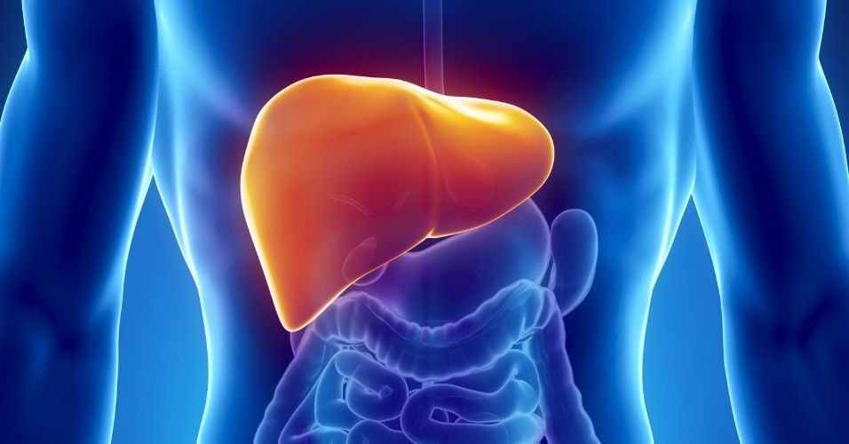 TGO e TGP altos: o que significa?