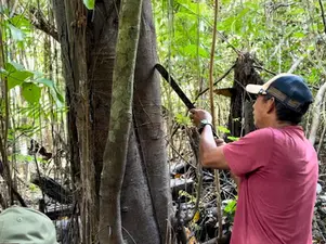 Explore the Amazon Jungle with Local Amazonian Guides