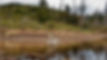 IMG_6845 copy.jpeg