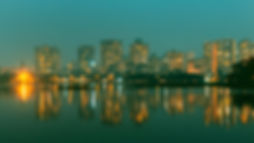 aniket-bhattacharya-vCv1OoxEpjc-unsplash-edited_edited.jpg