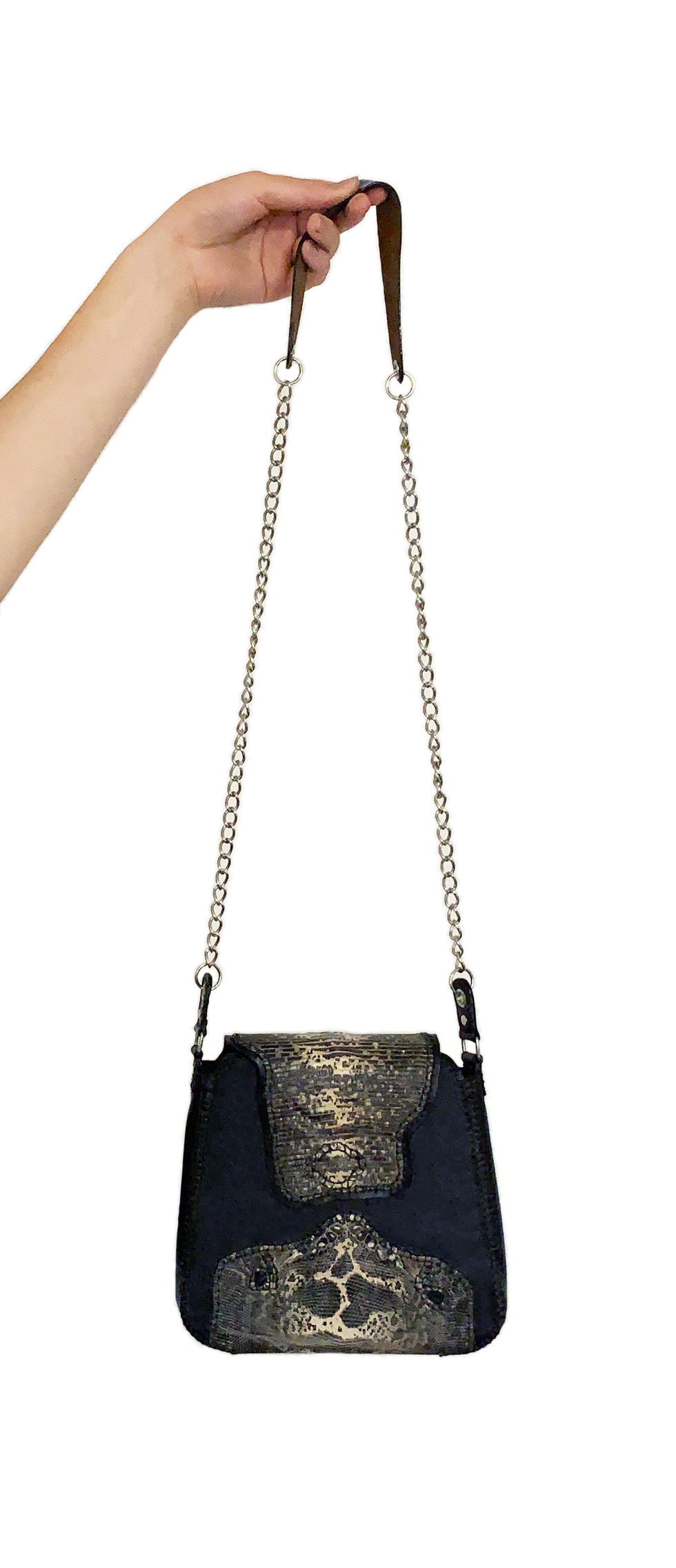 long edit lizard.jpg