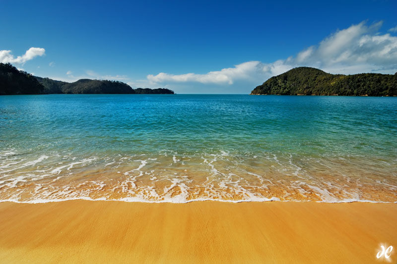 Beach in Abel Tasman National Park