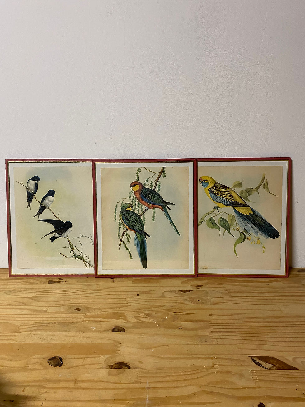 Triptyque Oiseaux