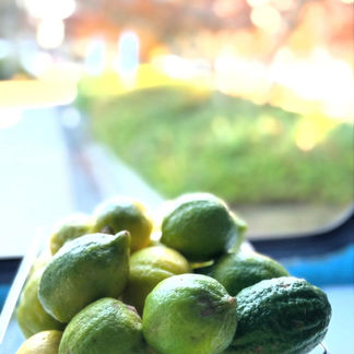 Book Yama Lemon Trailer for Your Next Event