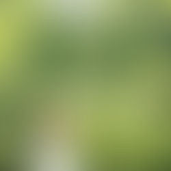 9/14(日)、10/19(日) La CASTA ハーブガーデンセラピー プログラム開催