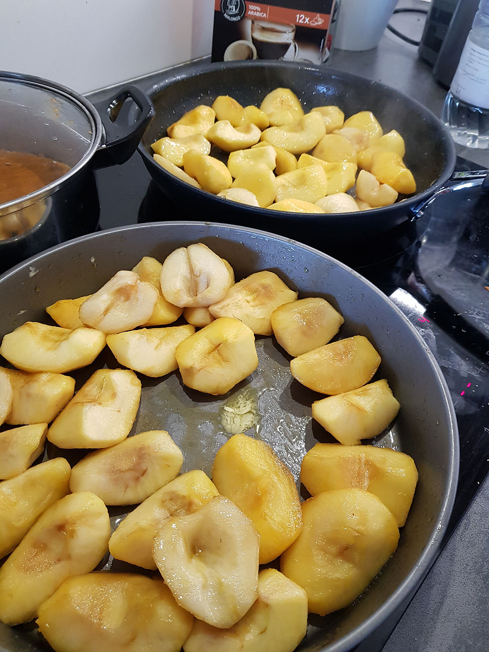Repas RP08