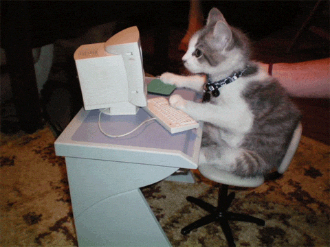 Working Home Office GIF by Caats.gif
