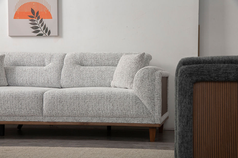 Küçük resim: Türkmen Urban Salon Takımı