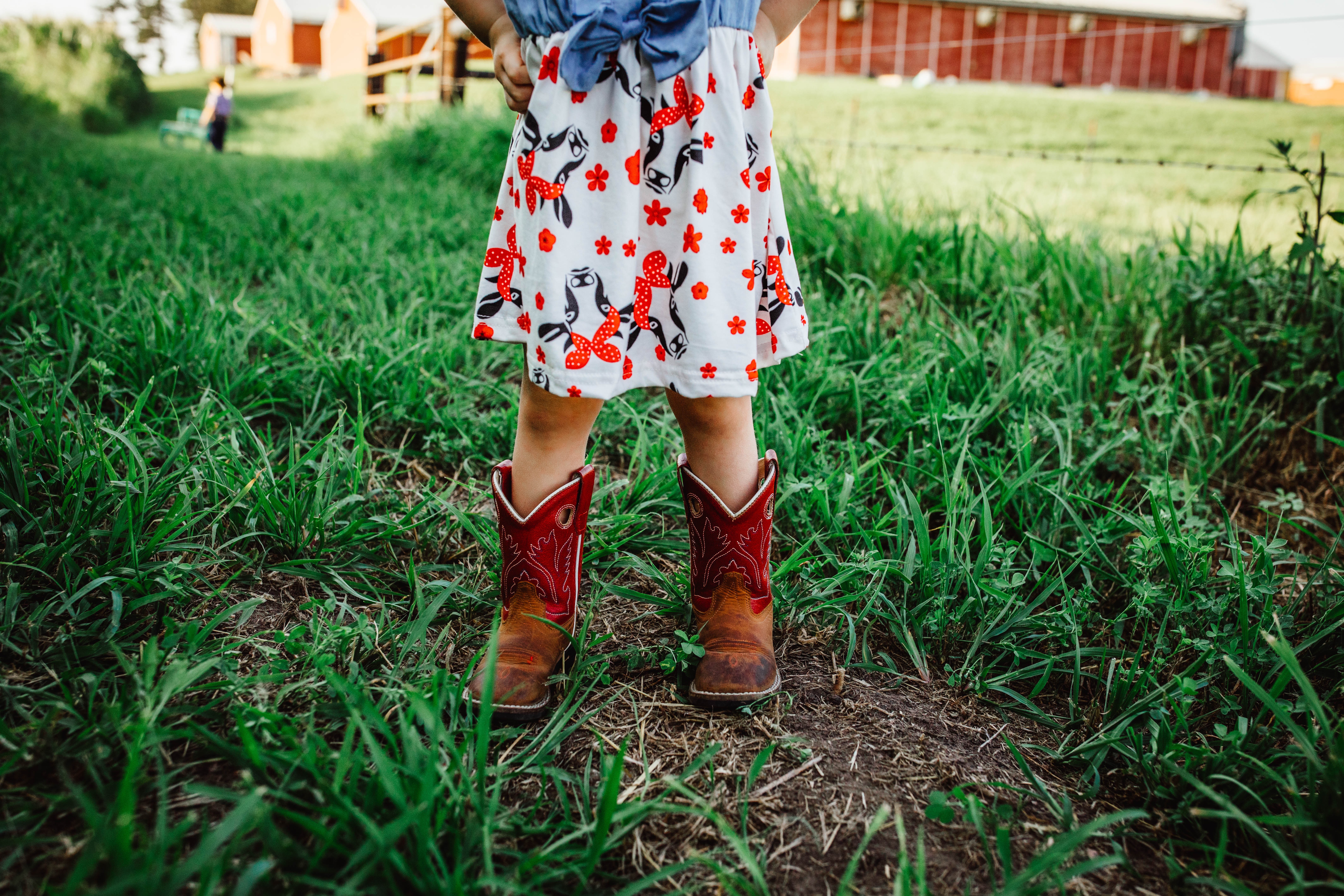 ORGANICALLY FED BEEF Whittemore, IA Kollasch Family Farms