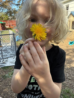 asher flower.jpg
