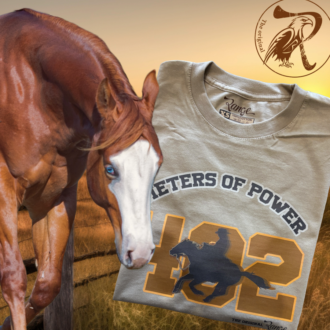 Quarter Horse — 402 METERS OF POWER