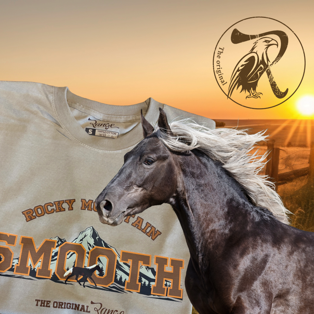 Rocky Mountain Horse — SMOOTH RIDE