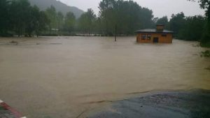 13912425_299844900370744_4598553619056655438_n