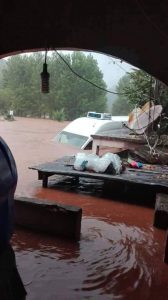 14034785_10157424192125372_428454159800643718_n