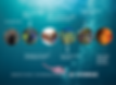 Screen Shot 2021-07-20 at 9.47.17 AM.png