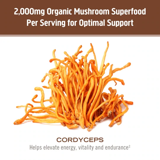 Thumbnail: Cordyceps Mushroom Capsules