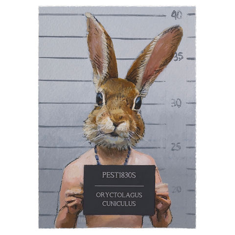 Mugshot of rabbit-headed figure holding sign: PESTIBUS ORYCTOLAGUS CUNICULUS