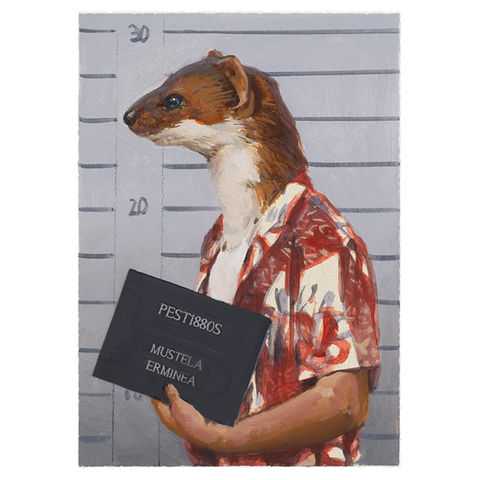 Weasel in Hawaiian shirt mugshot, holding sign: Pestiferos Mustela Erminia