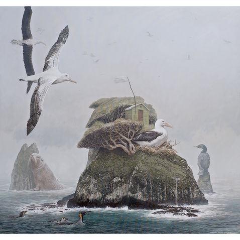 Albatrosses near foggy island nest