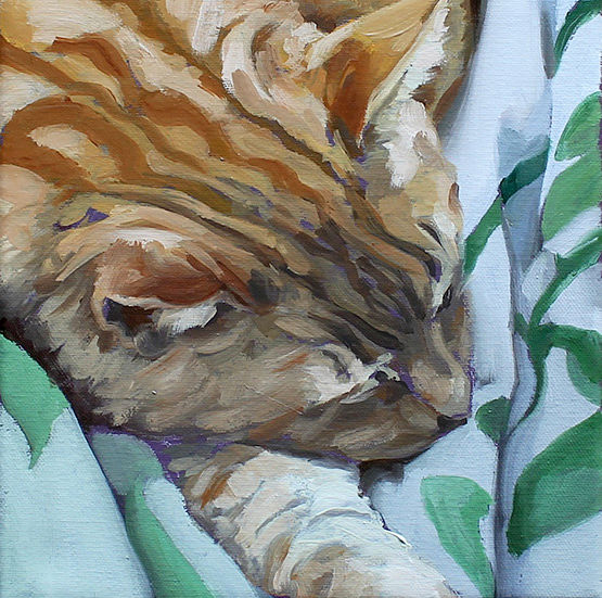 Sleeping ginger cat painting