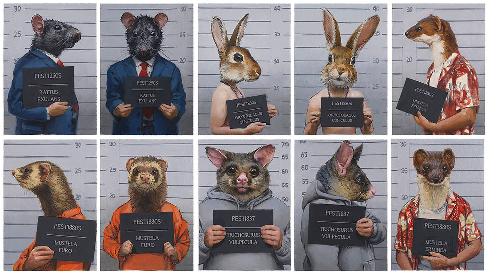 Mugshots of invasive pests for a pestfree new zealand.