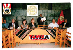 TAWA premio 2011