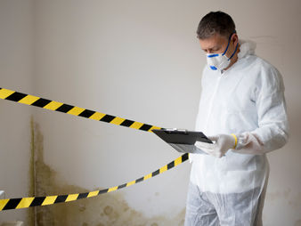 Keep mould at bay within the workplace