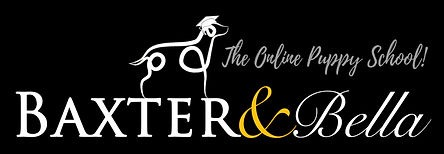 B&B PARTNERS Logo WHITE.jpg