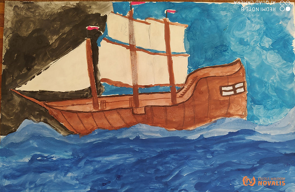 7º ano Escola Waldorf Novalis
