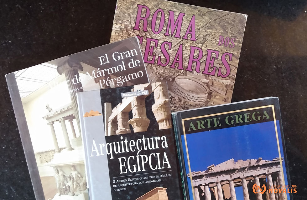 10º ano Escola Waldorf Novalis