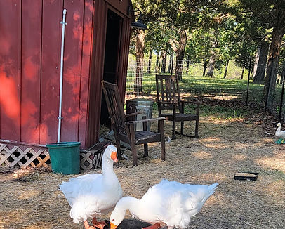 20230603_084234 (1).jpg