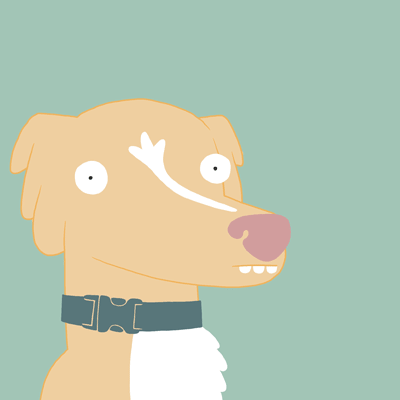 Untitled-31.gif