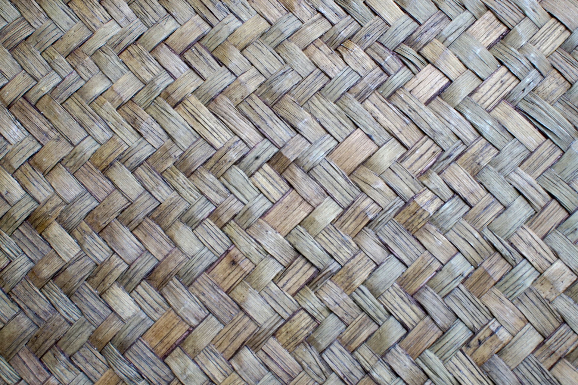 background-3353278_1920